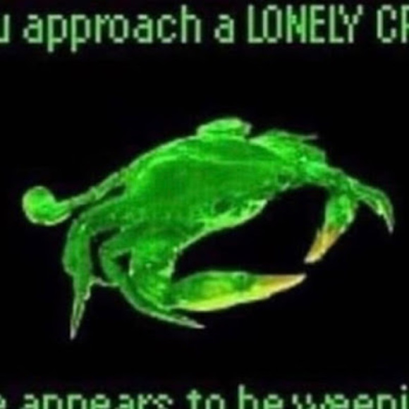 Meet your Posher, Akana - Picture 1 of 1